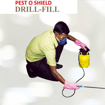 Pesto Shield